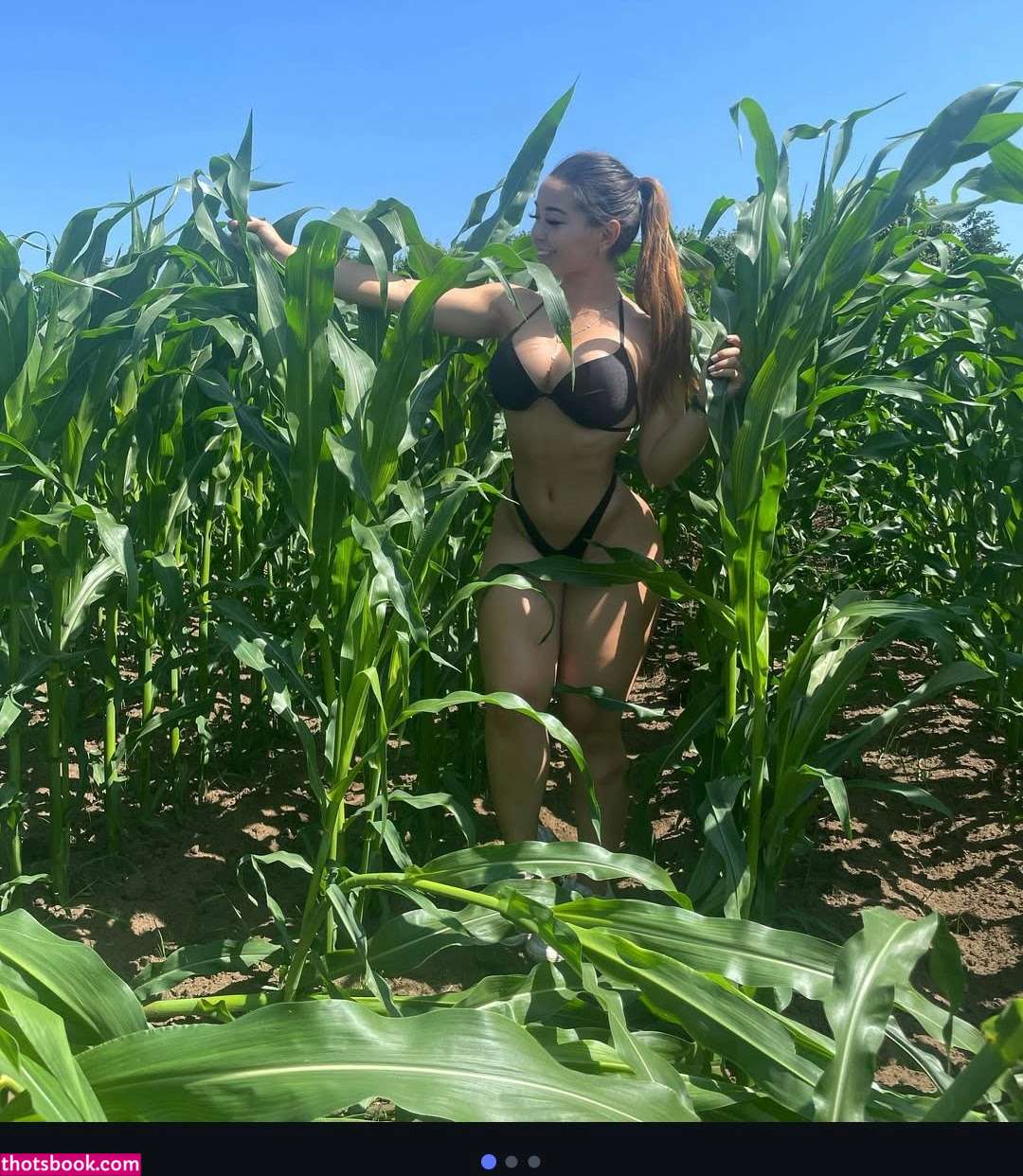 Maya Ichikawaa Nude Leaks OnlyFans Photos #3 1748784