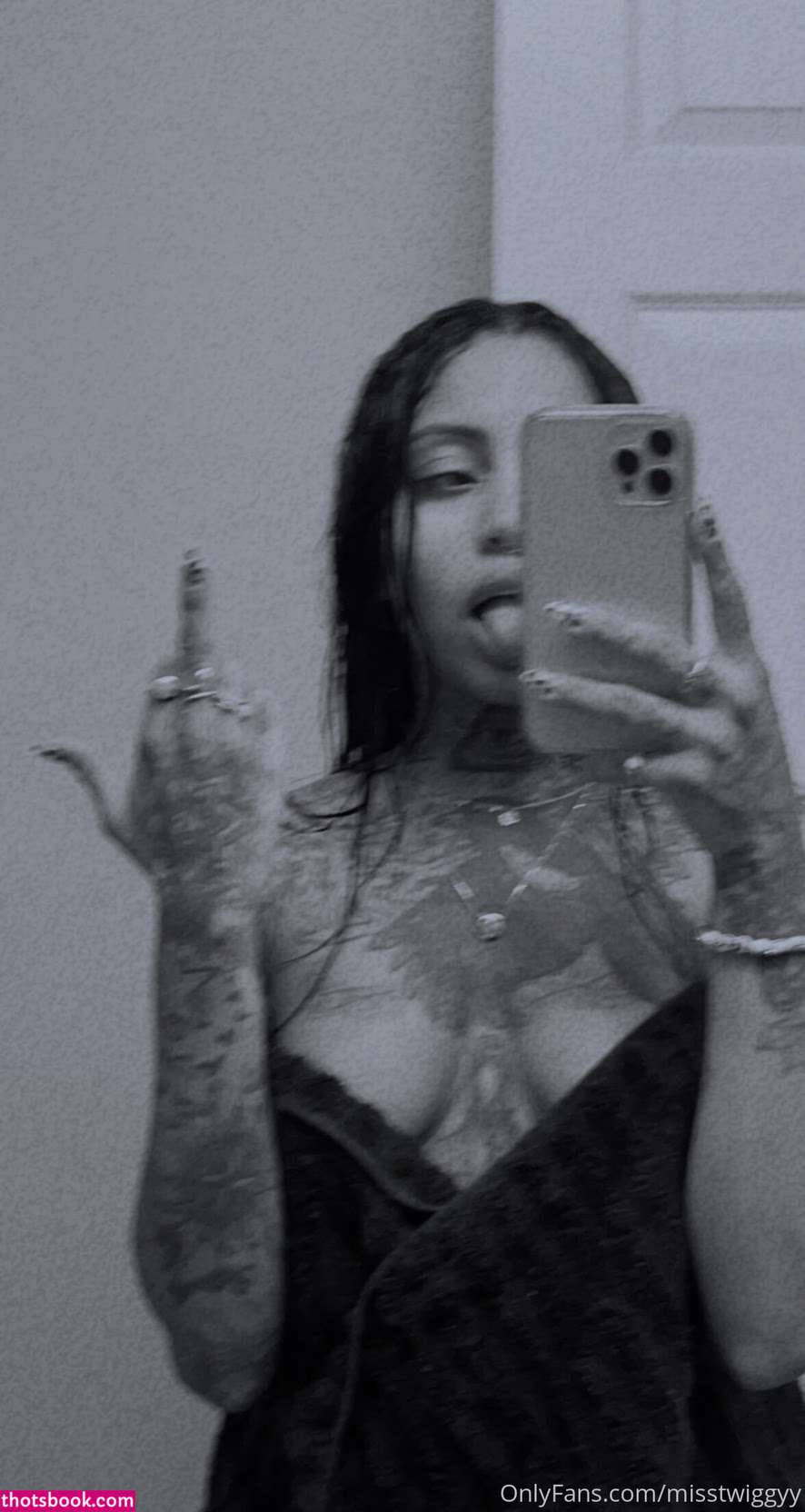 misstwiggyy Nude Leaks OnlyFans Photos #2 1773939