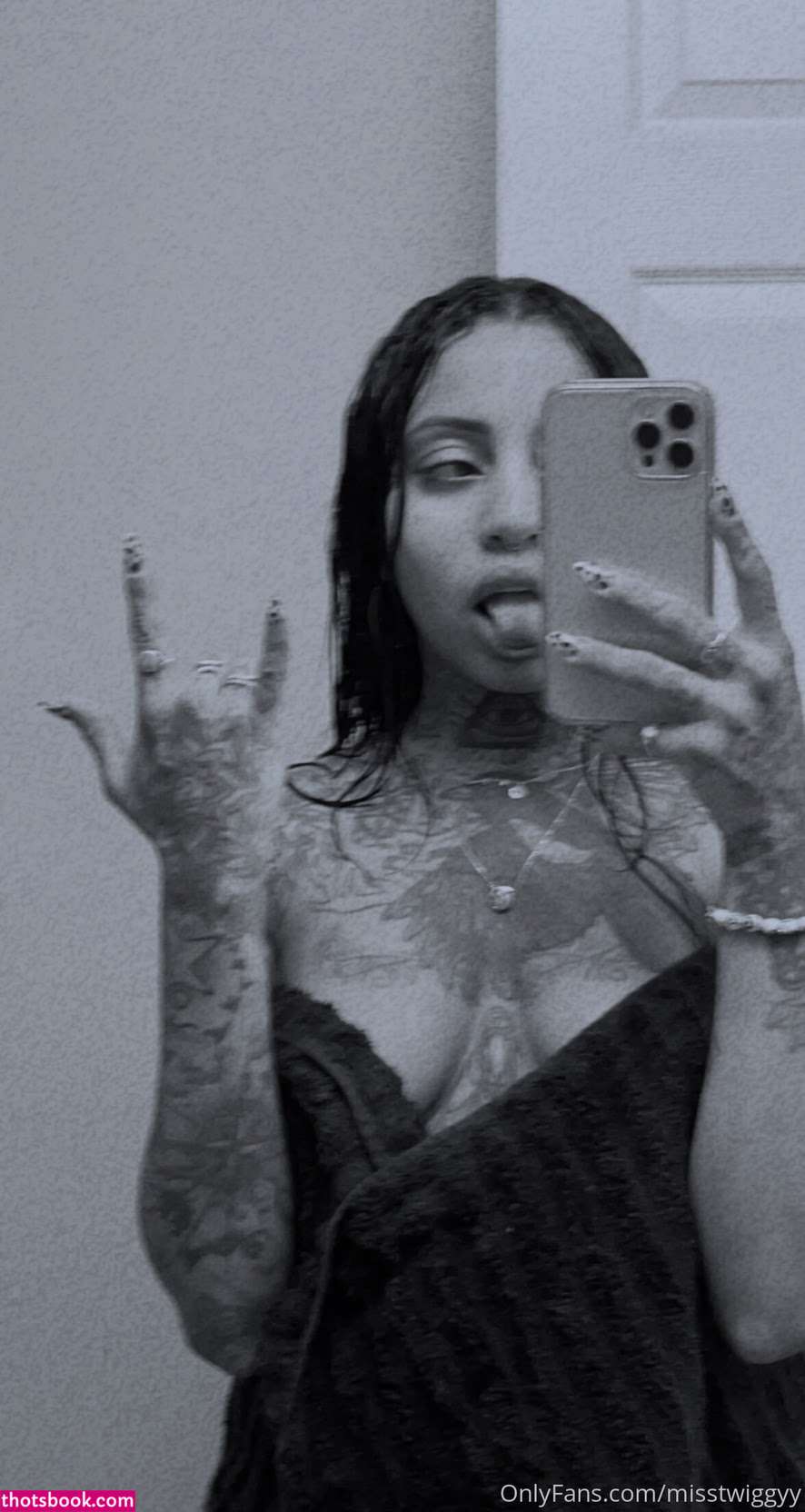 misstwiggyy Nude Leaks OnlyFans Photos #2 1773942