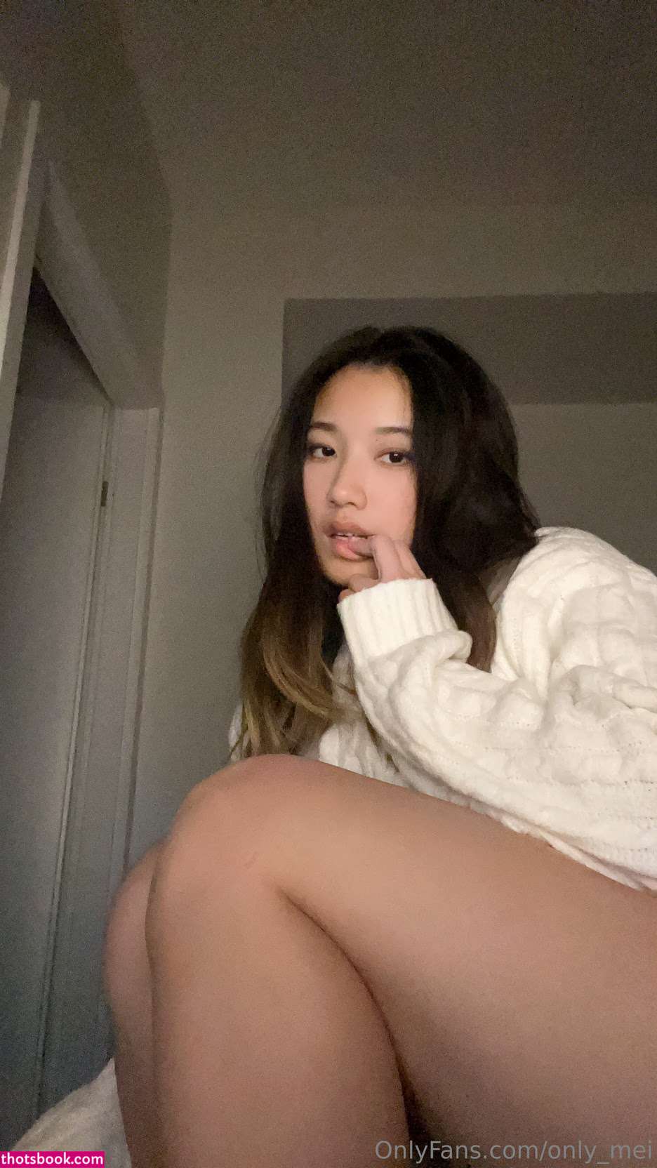 only mei Nude Leaks OnlyFans Photos #4 1774209