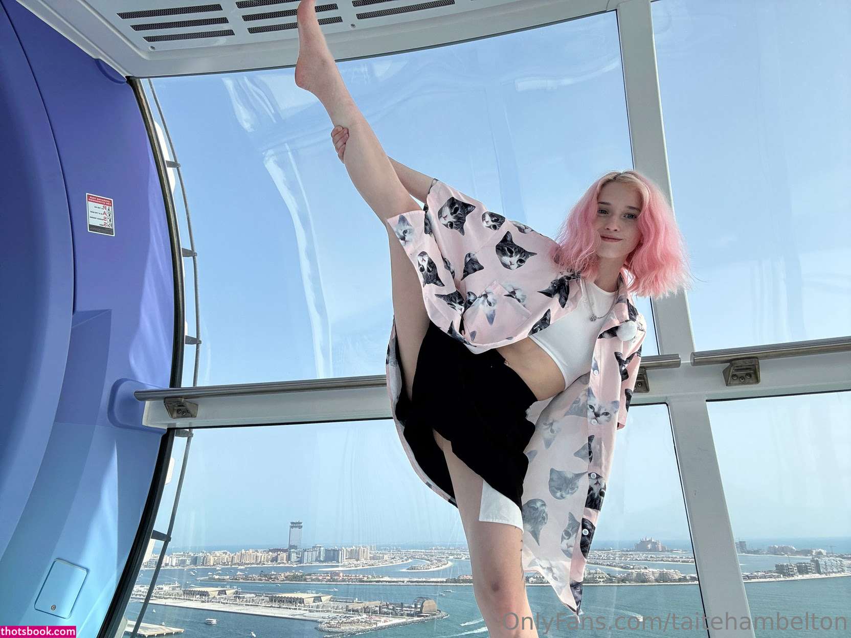 taitehambelton Nude Leaks OnlyFans Photos #1 1788210