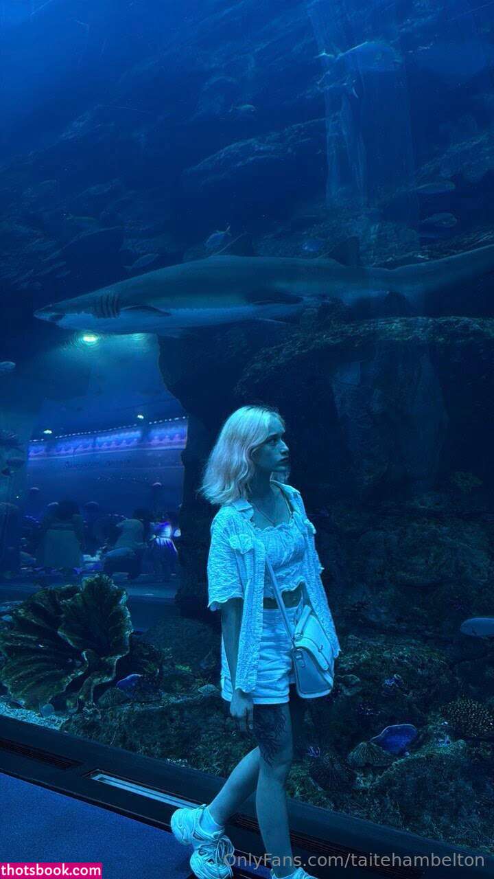 taitehambelton Nude Leaks OnlyFans Photos #1 1788213