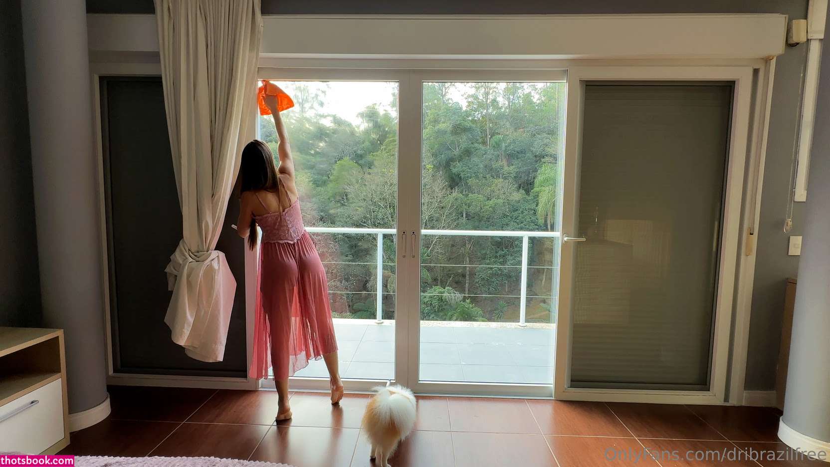 dribrazilfree Nude Leaks OnlyFans Photos #2 1788612