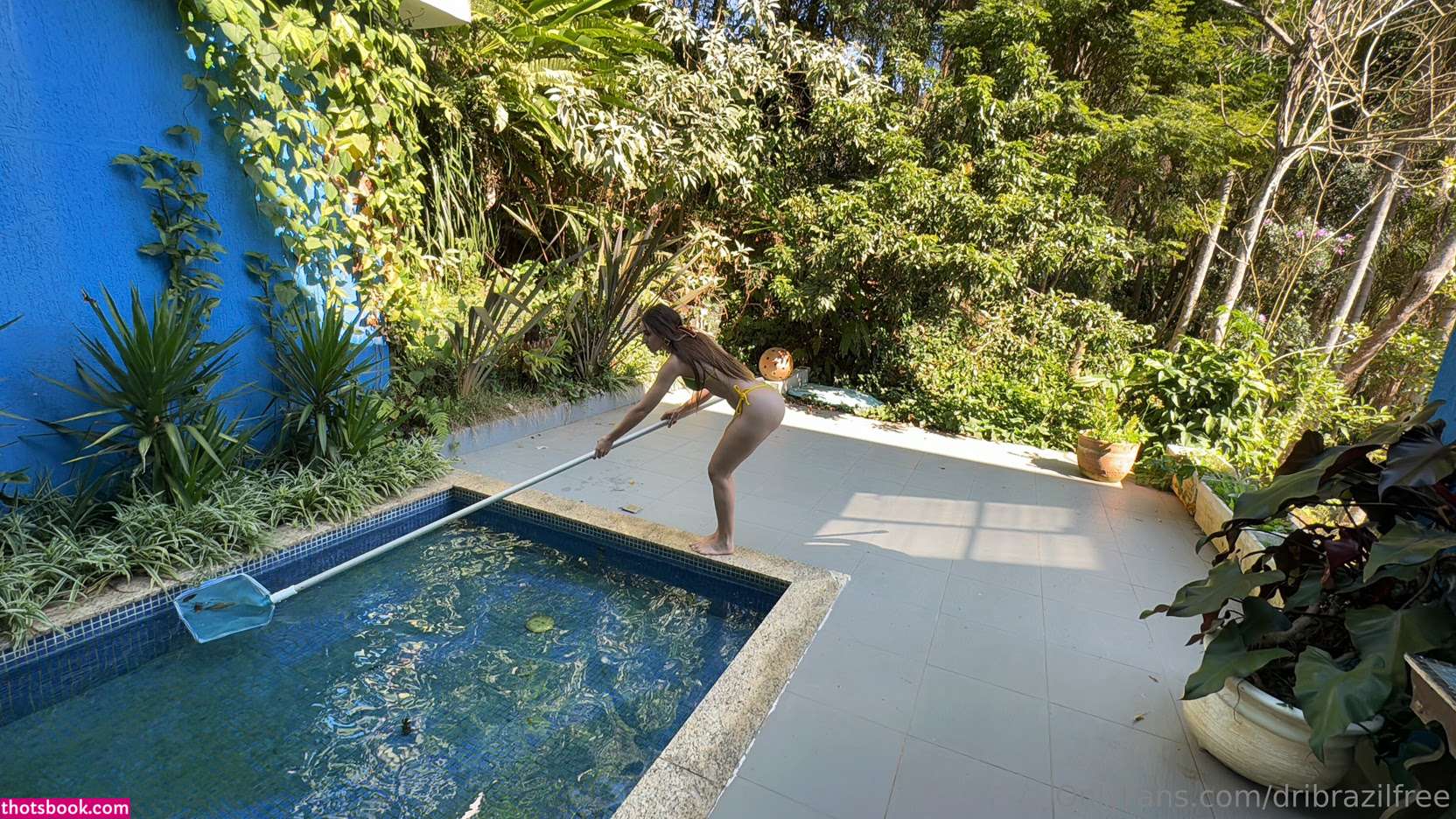 dribrazilfree Nude Leaks OnlyFans Photos #5 1788632