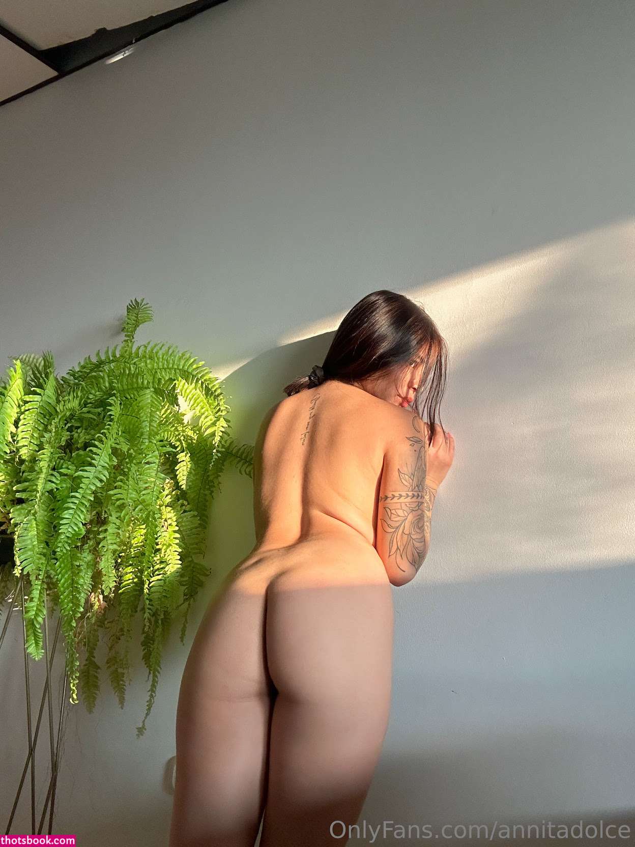 annitadolce Nude Leaks OnlyFans Photos #3 1753213