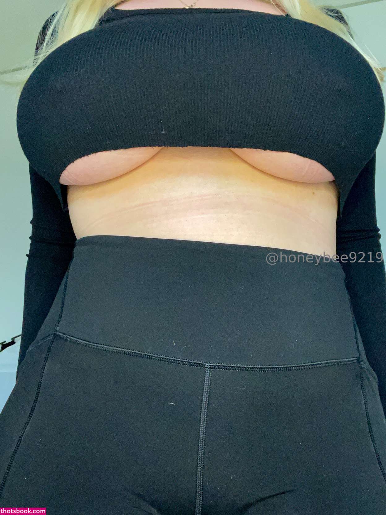 honeybee9219 Nude Leaks OnlyFans Photos #6 1780337