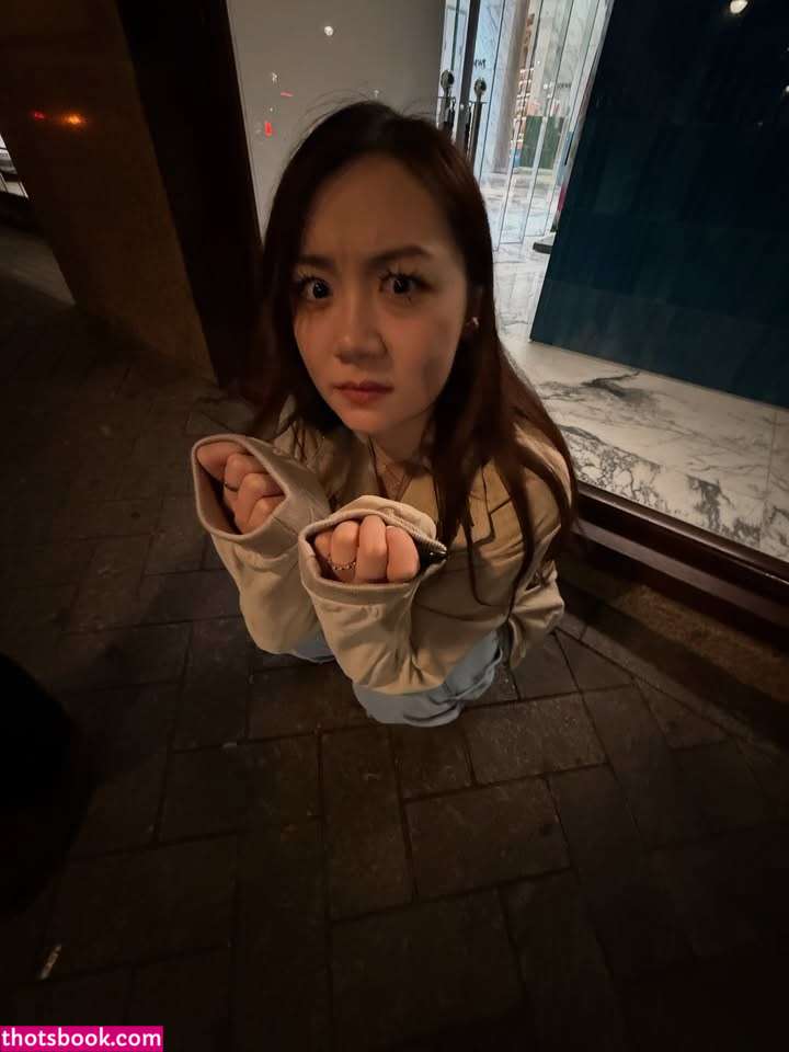 FanFan Nude Leaks OnlyFans Photos #22 1742518