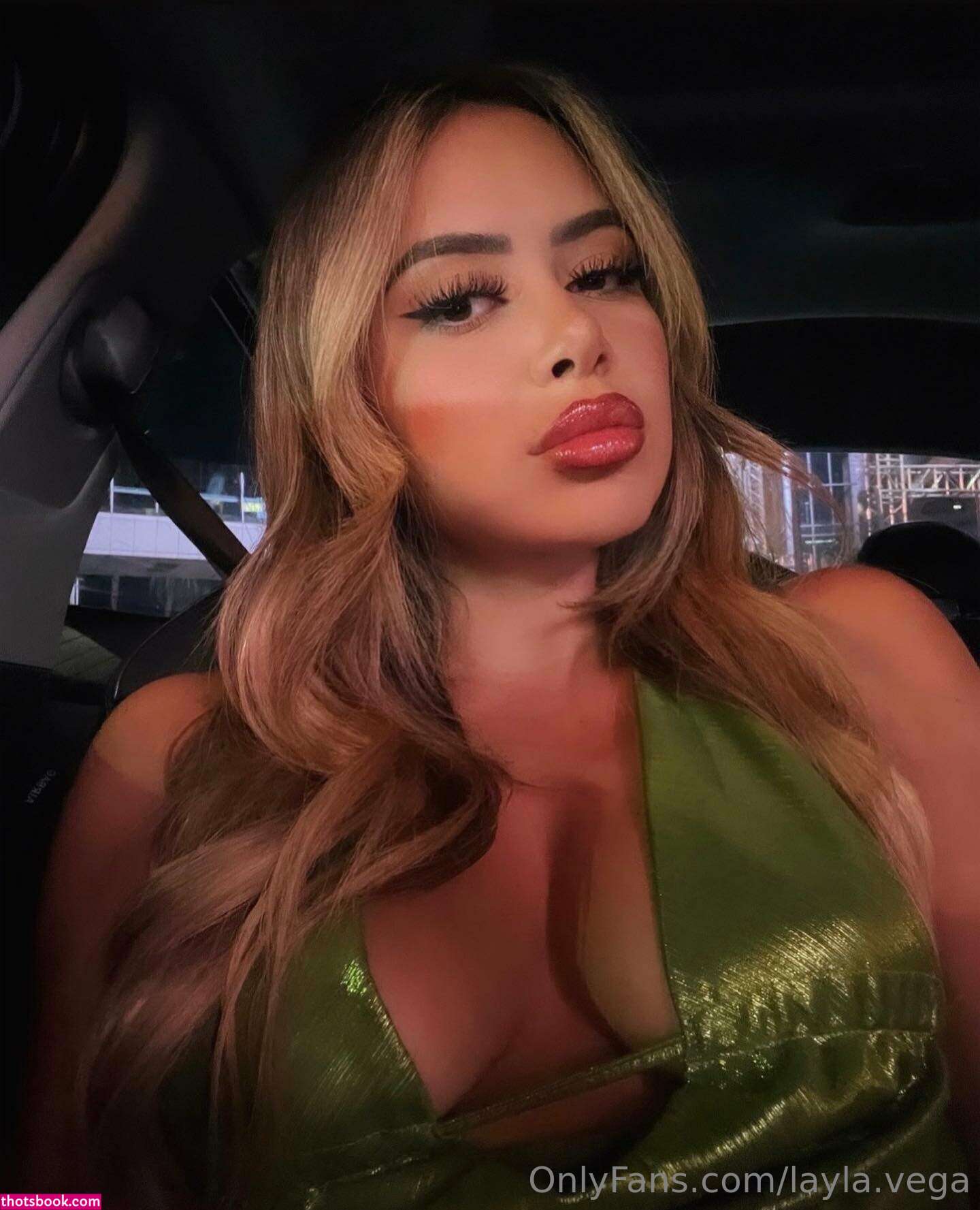 layla vega Nude Leaks OnlyFans Photos #5 1782658